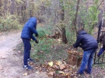 ned dobra1
