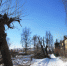 Обрезка деревьев, ул. Щербакова, 28.02.2016 - Murom.Ru