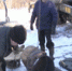 Без тепла и горячей воды на полдня остались жители 38 домов, а также три детских сада, 20-ая школа и православная гимназия - Murom-Tv.Ru
