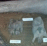 Я знаю свой город: новый победитель и очередной вопрос телевикторины - Murom-Tv.Ru