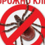 Клещи! Меры безопасности! - МЦЛФКиСМ