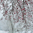 Фото: depositphotos.com - Murom.Ru