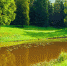 Фото майской природы. Marina Zezelina | Shutterstock - Murom.Ru