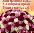 открытка - Murom.Ru
