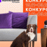 В главных ролях — ваши домашние любимцы: конкурс от «Ростелекома» - Murom.Ru