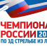 Муром впервые примет Чемпионат России по 3D-стрельбе из лука - Муром24.РФ