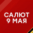 САЛЮТ 9 МАЯ - Глава округа Муром