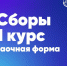 Зачисление первокурсников заочной и очно-заочной формы обучения по программам бакалавриата❗ - Муромский филиал ВлГУ