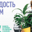 Применение природного газа (метана) в качестве моторного топлива - Муромский район