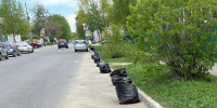 Муромляне собрали больше 4 тысяч мешков мусора на общегородском субботнике - Муром24.РФ