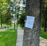 Все городские парки Мурома и набережную обработали от клещей - Муром24.РФ