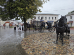 Тысячи муромлян бесплатно прокатились на лошадях в День города