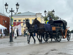 Тысячи муромлян бесплатно прокатились на лошадях в День города