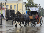 Тысячи муромлян бесплатно прокатились на лошадях в День города