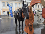 Тысячи муромлян бесплатно прокатились на лошадях в День города