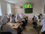 Международный день инвалидов