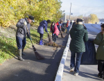 Определены даты общегородских осенних субботников